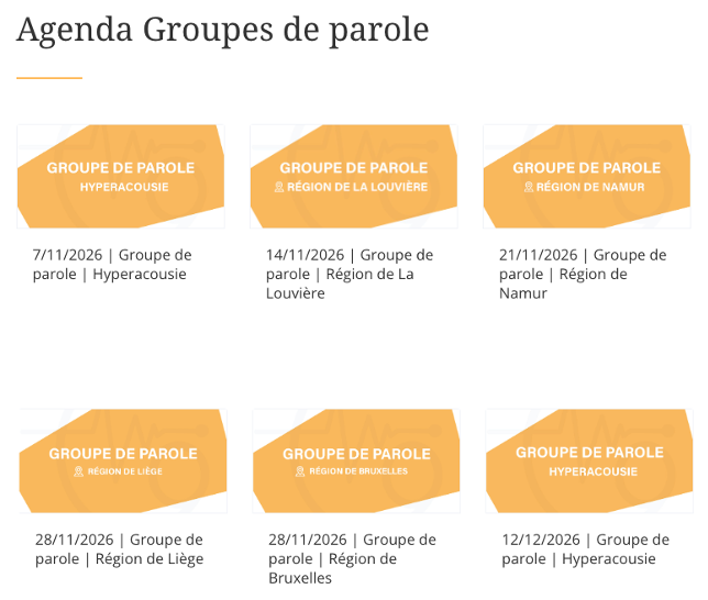 BA_nr_2 Neue Termine für die regelmäßigen Meetings der „Groupes de parole" in 2026: https://www.belgiqueacouphenes.be/events/list/